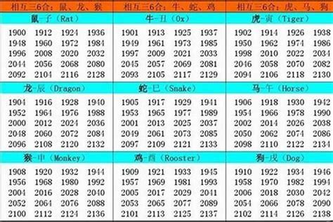 2002五行属什么|2002年属什么命 2002年属什么生肖和什么最配